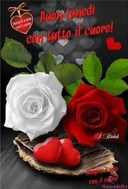 Buongiorno Lunedi Immagini Per Whatsapp Proverbibelli It Beautiful Red Roses Red Roses Rose