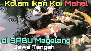 Toko ini menyediakan berbagai macam jenis keramik. Fxibpw Trssmfm