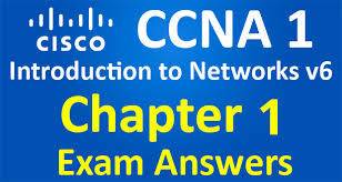 Ccna 1 Introduction To Networks Ver 6 0 Itn Chapter 1 Exam Answers