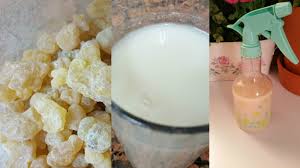 تفتيح المناطق الحساسة الكولاجين الطبيعي اللبان الذكر Frankincense