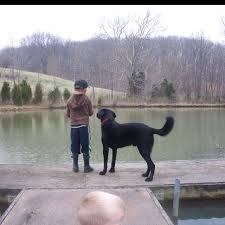 See the complete profile on linkedin and discover. Every Little Boy Should Have A Dog To Go Fishing With Black Dog Dog Life Pets
