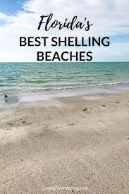 This is the newest place to search, delivering top results from across the web. The 10 Best Shelling Beaches In Florida Coastal Wandering