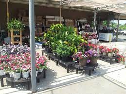 Hadly Mass Walmart Display Garden Center Displays Garden Center Garden