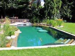 Pin On Swimming Pond