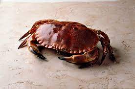 La cuisson du crabe est simple, dans le principe, il suffit de le plonger dans un grande quantité d'eau. Comment Cuisiner Le Tourteau Regal