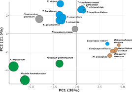 Maybe you would like to learn more about one of these? Massive Lateral Transfer Of Genes Encoding Plant Cell Wall Degrading Enzymes To The Mycoparasitic Fungus Trichoderma From Its Plant Associated Hosts