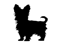 Download 82 Yorkie Silhouette Ideas Yorkie Silhouette Yorkshire Terrier