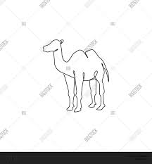All major companies are using apache camel. One Continuous Line Vector Photo Free Trial Bigstock