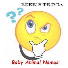 Sep 26, 2020 · animal trivia questions and answers. Second Life Marketplace Beeb S Trivia Baby Animal Names