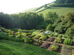 That Kind Of Woman Permaculture Gardening Beautiful Gardens Permaculture Magazine