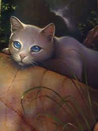 Perfect Example Of A Horrible Cat And Leader Skyclan Seems To Have Awful Leaders Warrior Cats Warrior Cats Series Warrior Cat