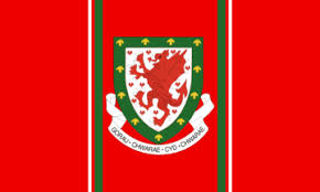 By downloading this vector artwork you agree to the following Football Association Of Wales