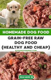 Raw Dog Food Recipes In 2021 Dog Food Recipes Raw Dog Food Recipes Healthy Dog Food Recipes