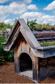 When looking for one, know they're not all created equal. 31 Custom Dog House Decor Ideas Sebring Design Build
