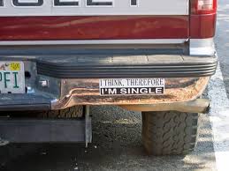 4.8 out of 5 stars 17. Here Are 2019 S Funniest Bumper Stickers So You Can Stop Squinting At Cars