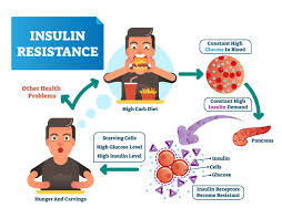 The majority of people who try the keto diet do so because they want to lose weight. Insulin Resistance And The Ketogenic Diet Ketogenic Com