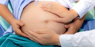 Interpretasi adalah pengertian menurut ahli tujuan : Mengenal Pemeriksaan Leopold Untuk Mengetahui Posisi Janin