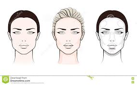 Face Chart Contouring Stock Vector Illustration Of