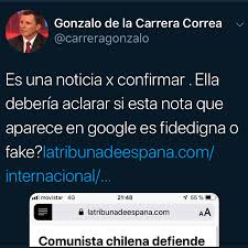 Coğrafya öğrencisi olan camila vallejo şili'de komunist gençler birliği'nin lideri. Camila Vallejo Perdio La Querella Por Injurias Contra Gonzalo De La Carrera Por Fake News El Mostrador