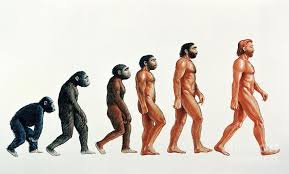 Evolution The Change From Chimpanzees To Humans Over Time Disruptive Technology History Of Science Evolution