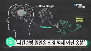 Check spelling or type a new query. íŒŒí‚¨ìŠ¨ë³' ì›ì¸ì€ ì‹ ê²½ ì–µì œ ì•„ë‹Œ í¥ë¶„ ê¸°ì¡´ í•™ì„¤ ë'¤ì§'ì–´ Youtube