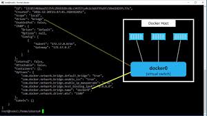 Build overlay networks with a single docker command. Docker Networking Aqua