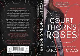 Sarah J Maas A Court Of Mist And Fury Pdf Sarah J Maas A Court Of Mist And Fury Ya Book Covers Best Book Covers