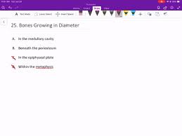 Solved The Presence Of An Epiphyseal Line Indicates: O | Chegg.Com