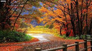 Gambar Musim Gugur Yang Indah Scenery Wallpaper Autumn Landscape Beautiful Scenery Wallpaper