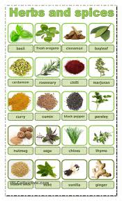 Herbs And Spices Learn English Herbs English Vocabulary