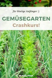 Gemusegarten Fur Anfanger Crashkurs In 11 Schritten Wurzelwerk In 2020 Garten Bepflanzen Garten Gemusegarten Anlegen