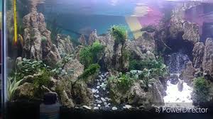 Pasir aquarium dapat menyebabkan ammonia bloom / poisoning? Aquascape Air Terjun Batu Pasir Youtube