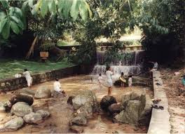 Taman botani pulau pinang biasanya hanya dipanggil botanic gardens oleh pulau pulau pinang. Ø´Ø§ÙÙŠÙ‚ Ø²ÙŠÙƒØ±ÙŠ Pa Twitter Gambar Lama Taman Botani Pulau Pinang Tamanbotani Penang Pulaupinang Shaziktravel Shazikfacts Https T Co Xacicsk8pz