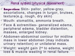 Renal System Physical Assessment Inspection Skin Pallor Renal Pallor Skin Nursing Assessment