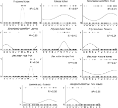 Image result for Mikaniopsis usambarensis