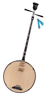 Those groups have created a variety of traditional musical instruments, which have played an important role in vietnamese people's lives. Ä'an Nguyá»‡t Wikipedia