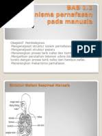 Ittv pt3 tingkatan 1 sains bab 8 cahaya dan optik (penambahan dan penolakan cahaya). Modul Sains Tingkatan 3 Bab 2