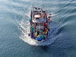 Fishing boats, fishing boats for sale uk, apollo duck new and used fishing boat sales. All At Sea An Evaluation Of Company Efforts To Address Modern Slavery In Pacific Supply Chains Of Canned Tuna Business Human Rights Resource Centre