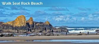 Seal Rocks Rv Cove Full Service Year Round Rv Park Seal Rock Oregon Backside of our campsite at seal rock campground. seal rocks rv cove full service year
