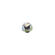 Kostenlose lieferung für viele artikel! Mukk Spielwaren Munster Revell Control Mini Rc Car Deutschland 2 40 Mhz Revell 4009803249841