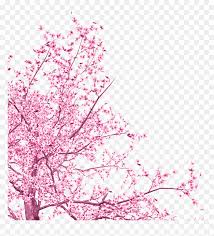Looking for the best japanese cherry blossom wallpaper? Cherry Blossom Png Transparent Png 917x968 Png Dlf Pt