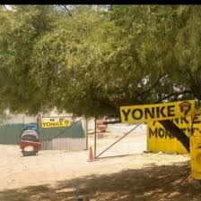 Yonke Monkey