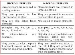 This list is a categorization of the most common food components based on their macronutrients. Difference Between Micronutrients And Macronutrients