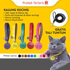 Posting pada peternakan ditag aneka perlengkapan kucing, bahan yang digunakan untuk memelihara kucing, baju kucing, cara memasang tali anjing, cara membuat kalung anjing, cara membuat kalung dari tali sepatu, cara membuat kalung kucing buatan sendiri, cara membuat tali anjing, cara menghilangkan kutu kucing, collar kucing, harga kalung anjing. Kalung Kucing Harga Terbaik Agustus 2021 Shopee Indonesia