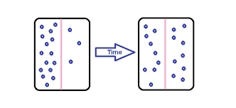 (5.15) first, imagine a semipermeable membrane, one that. Diffusion Definition Examples And Types Biology Dictionary