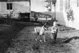 Geir magne karlsen holds the position of chief financial officer & deputy ceo at norwegian air shuttle asa. Norges Beste Prestasjon I Tour De France Gjennom Tidene Adressa No