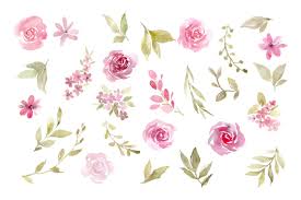 Pink Watercolor Flowers Bouquets Pattern Png By Watercolorflowers Thehungryjpeg Com Pink flowers look subtle and pretty but they can also fascinate people in their simplicity. pink watercolor flowers bouquets