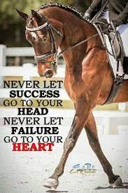 Pin By Paulina Palacio On Horses Barns Etc Inspirational Horse Quotes Horse Quotes Horse Riding Quotes