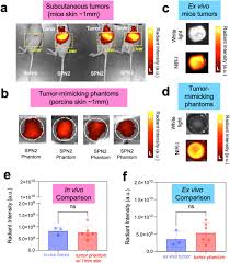 3D Tumor-Mimicking Phantom Models for Assessing NIR III Nanoparticles in  Fluorescence-Guided Surgical Interventions | bioRxiv