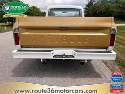 Image result for Brown 1968 Fleet